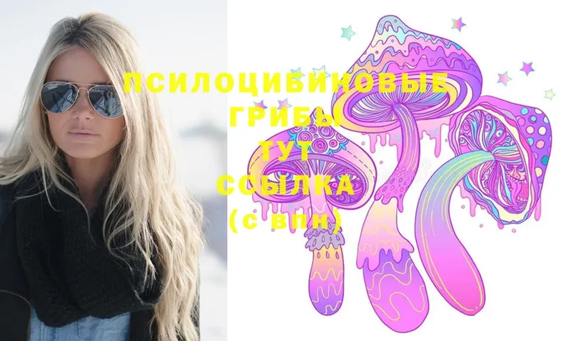 Галлюциногенные грибы Magic Shrooms  Димитровград 